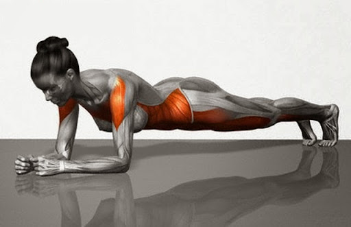 Prancha abdominal - Exercício para perder barriga em casa.
